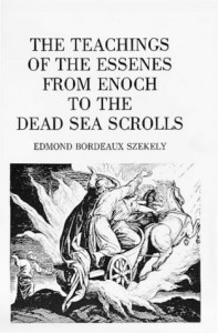 The Teachings Of The Essenes: from Enoch to the Dead Sea Scrolls - Edmond Bordeaux Szekely