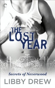 The Lost Year (Secrets of Neverwood) - Libby Drew