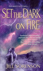 Set the Dark on Fire - Jill Sorenson