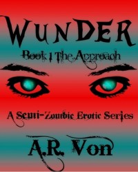 The Approach (Wunder #1) - A.R. Von