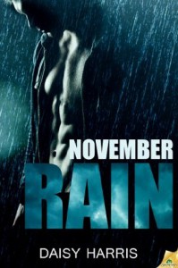 November Rain - Daisy Harris