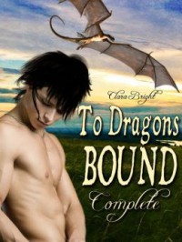 To Dragons Bound (To Dragons Bound, #1-5) - Clara Bright