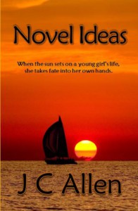 Novel Ideas - J.C. Allen