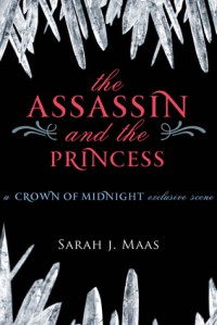 The Assassin and the Princess - Sarah J. Maas