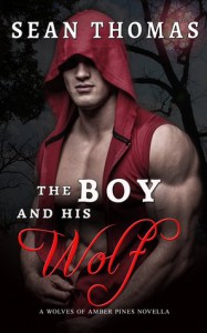 The Boy and His Wolf - Sean   Thomas