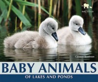 Baby Animals of Lakes and Ponds - Carmen Bredeson