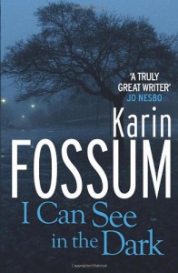 I Can See in the Dark - Karin Fossum