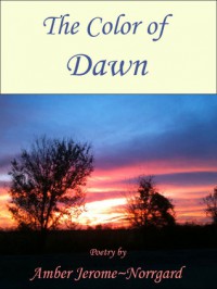 The Color of Dawn - Amber Jerome~Norrgard