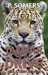  Jaguar in the Drive - P. Somers