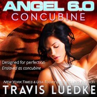 Angel 6.0: Concubine - Travis Luedke, Rachel Orlin