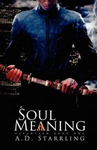 Soul Meaning - A D Starrling