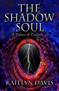The Shadow Soul - Kaitlyn Davis