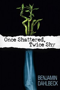 Once Shattered, Twice Shy - Benjamin Dahlbeck