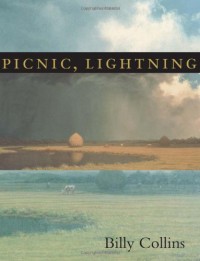 Picnic, Lightning - Billy Collins