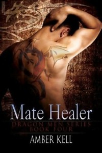 Mate Healer - Amber Kell