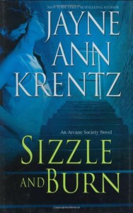 Sizzle and Burn - Jayne Ann Krentz