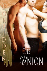 The Union (Forbidden, #3.5) - Samantha Sommersby