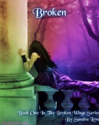 Broken (Broken Wings Book 1) - Sandra  Love