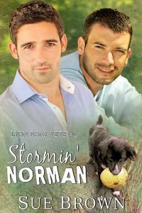 Stormin' Norman - Sue  Brown