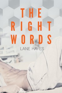 The Right Words - Lane Hayes