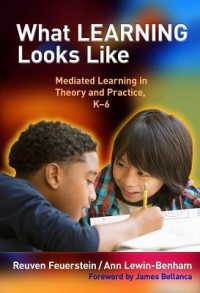 What Learning Looks Like: Mediated Learning in Theory and Practice, K-6 - Reuven Feuerstein, Ann Lewin-Benham