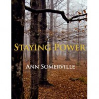 Staying Power (Darshian Tales, #3) - Ann Somerville