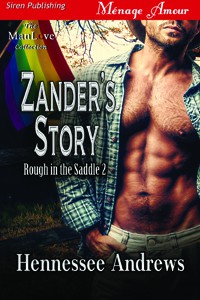 Zander's Story - Hennessee Andrews