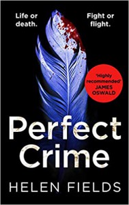 Perfect Crime - Helen Sarah Fields