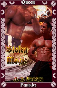 Stolen Magic - A.J. Llewellyn