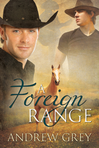 A Foreign Range - Andrew  Grey