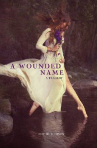A Wounded Name - Dot Hutchison