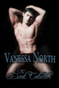 The Dark Collector - Vanessa North