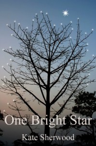 One Bright Star - Kate Sherwood