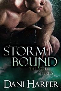 Storm Bound  - Dani Harper