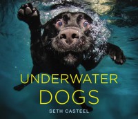 Underwater Dogs - Seth Casteel