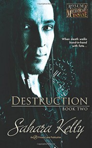 Destruction (Asylum for the Mechanically Insane) (Volume 2) - Sahara Kelly