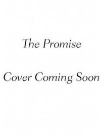 The Promise (The 'Burg Series) - Kristen Ashley