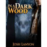 In a Dark Wood - Josh Lanyon