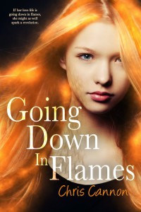Going Down in Flames - Chris Cannon