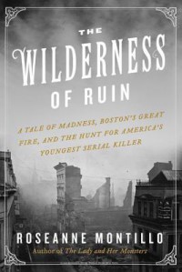 The Wilderness of Ruin: A Tale of Madness, Fire, and the Hunt for America's Youngest Serial Killer - Roseanne Montillo