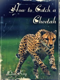 How to Catch a Cheetah - Liza Kay