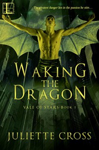 Waking the Dragon (Vale of Star Book 1) - Juliette Cross