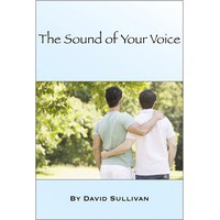 The Sound of Your Voice - David  Sullivan