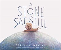 A Stone Sat Still: (Environmental and Nature Picture Book for Kids, Perspective Book for Preschool and Kindergarten, Award Winning Illustrator) - Brendan Wenzel