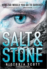 Salt & Stone - Victoria Scott