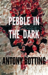 Pebble in the Dark - Antony Botting