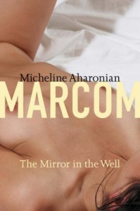 The Mirror in the Well - Micheline Aharonian Marcom