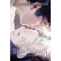 Light in the Shadows (Find You in the Dark, #2) - A. Meredith Walters