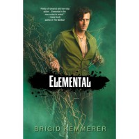 Elemental (Elemental, #0.5) - Brigid Kemmerer