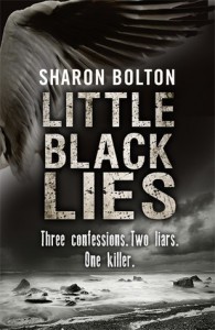 Little Black Lies - S.J. Bolton